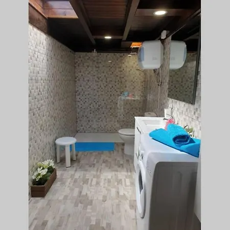 Daire Eucalipto Mozaga