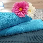 Appartamento Eucalipto *
